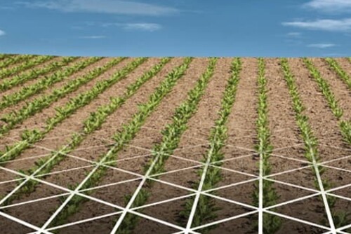 GEOSEED-feld-jpg-g18iffes00 GEOSEED-feld-jpg-g18iffes00